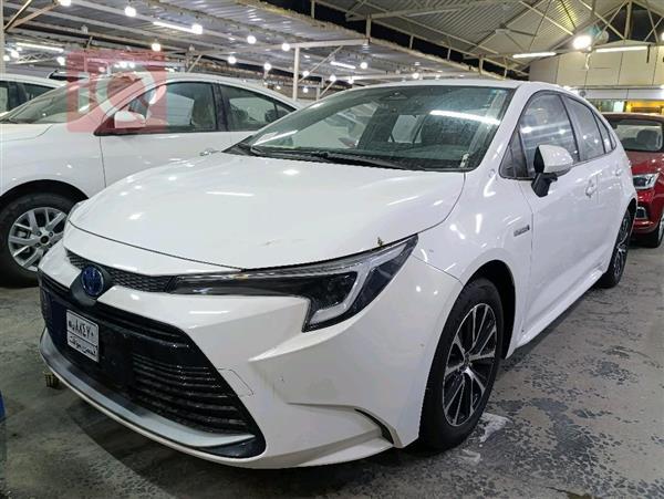 Toyota for sale in Iraq